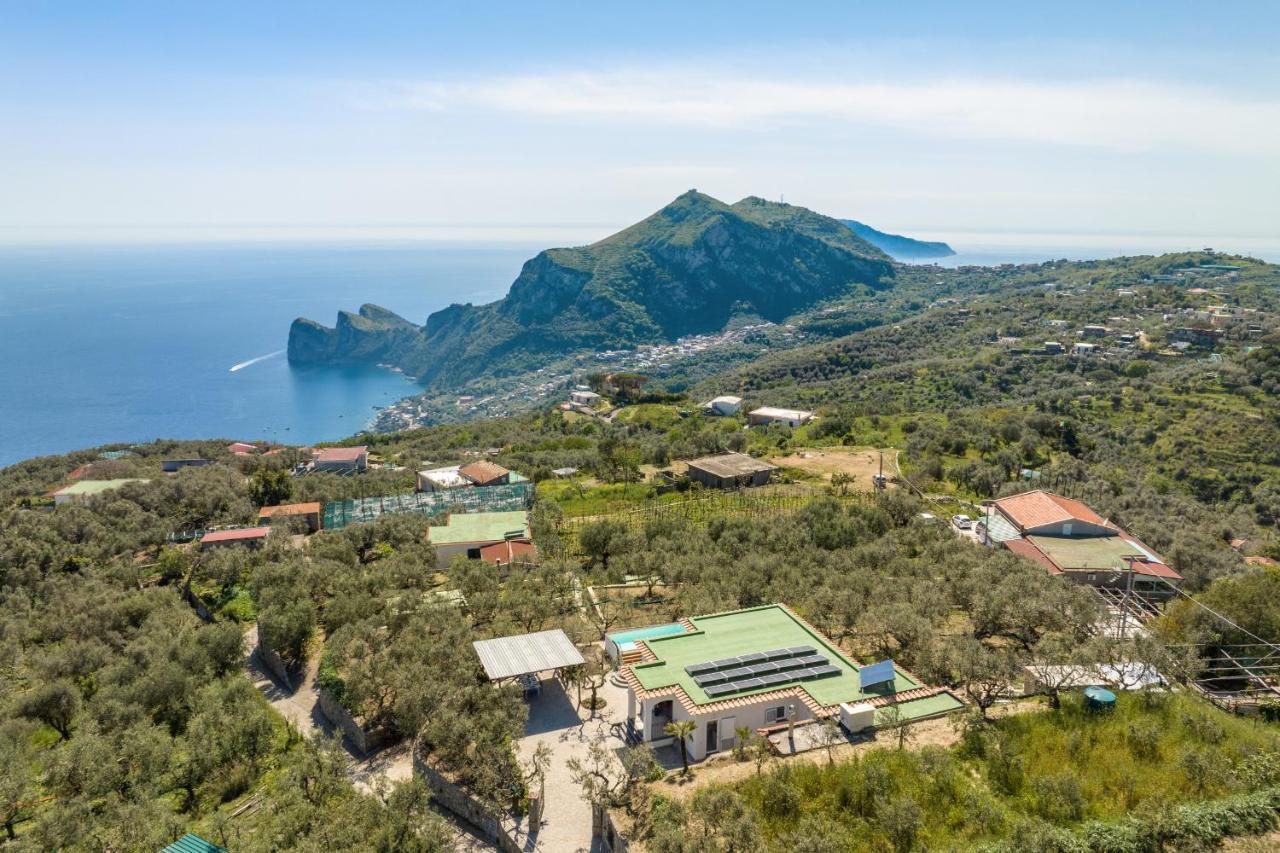 Villa Rusinella Minimalist Retreat With Sea Views Massa Lubrense Exteriör bild